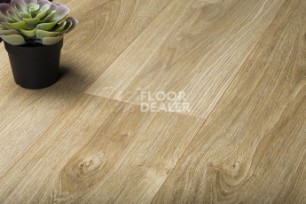 Kronopol Aurum Symfonia Aqua Zero d4531 Дуб Соната фото 2 | FLOORDEALER
